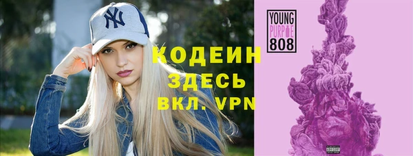 дурь Бронницы