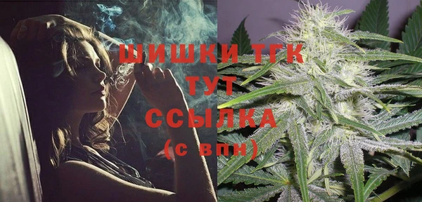 прущая мука Бородино