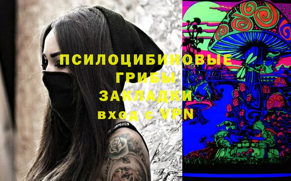 прущая мука Бородино