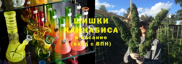 дурь Бронницы