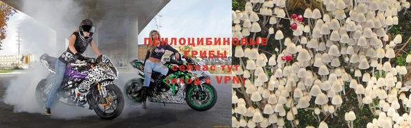 прущая мука Бородино